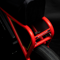 Pantera Special Edition Monza
