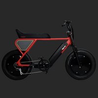 Pantera Special Edition Monza