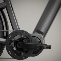 E-Bike Vulcan Personalizzabile