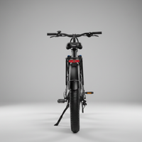 E-Bike Vulcan Personalizzabile