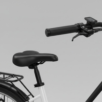 E-Bike Venezia Pro Personalizzabile