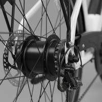 E-Bike Venezia Pro Personalizzabile