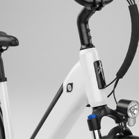 E-Bike Venezia Pro Personalizzabile
