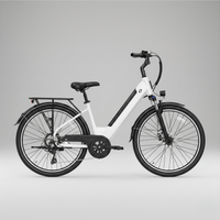 E-Bike Venezia Pro Personalizzabile