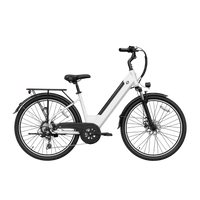 E-Bike Venezia Pro Personalizzabile