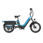 E-Bike Cargo Extreme Personalizzabile