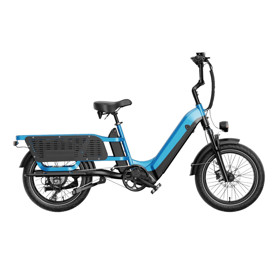 E-Bike Cargo Extreme Personalizzabile