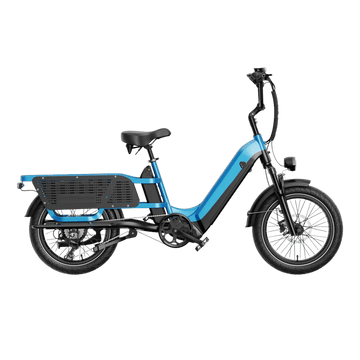 E-Bike Cargo Extreme Personalizzabile