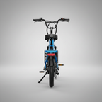 E-Bike Cargo Extreme Personalizzabile
