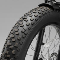 E-Bike Vulcan Personalizzabile