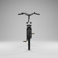 E-Bike Venezia Pro Personalizzabile