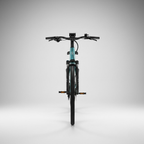 E-Bike Flair Personalizzabile