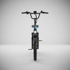 E-Bike Cargo Extreme Personalizzabile