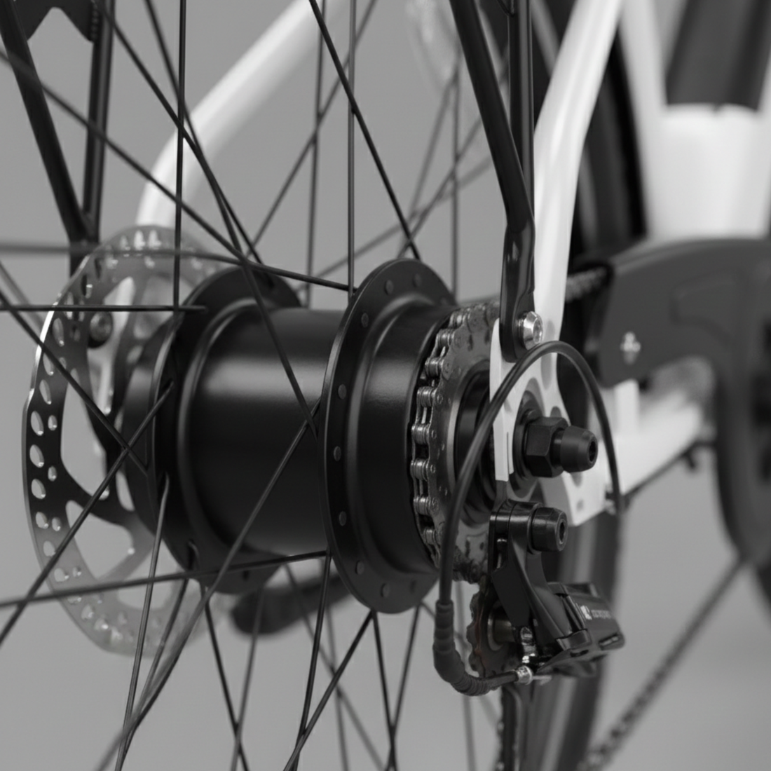 E-Bike Venezia Pro Personalizzabile