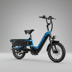 E-Bike Cargo Extreme Personalizzabile