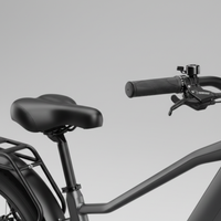 E-Bike Vulcan Personalizzabile