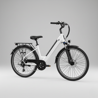 E-Bike Venezia Pro Personalizzabile
