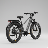 E-Bike Vulcan Personalizzabile