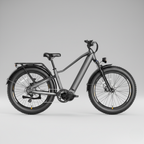 E-Bike Vulcan Personalizzabile