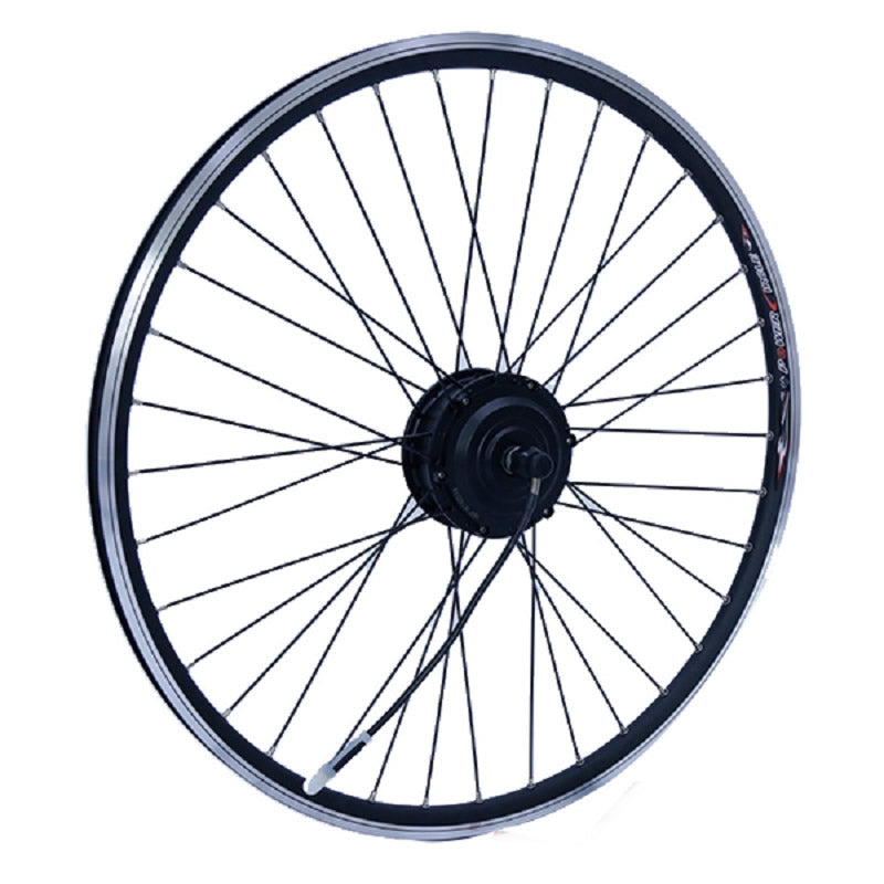 Cerchio posteriore completo di motore
